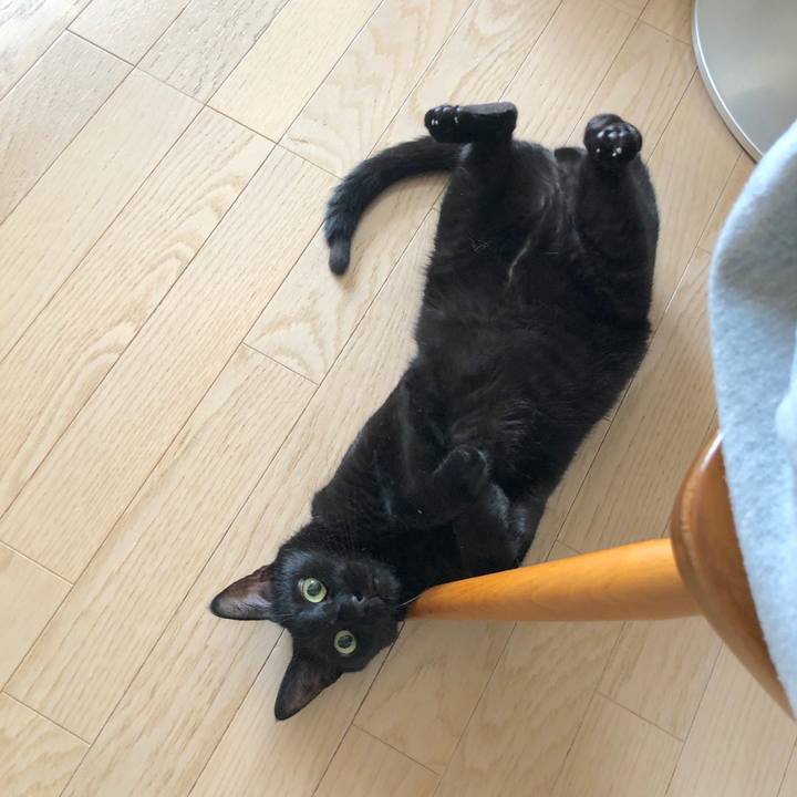 3bff1337 7391 42d3 b487 d093ff03562f 1558830293020