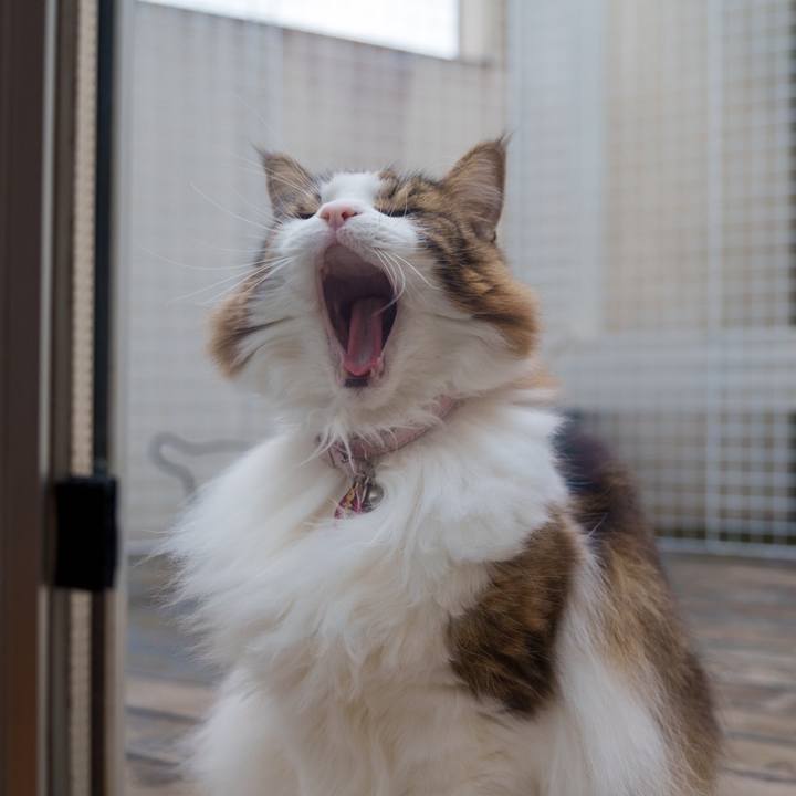 3bff2d8d e5ef 4228 b370 9409b101d38c 1731917117038