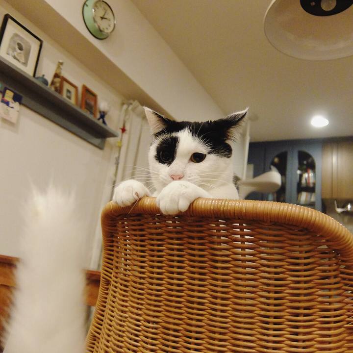 3bff3d1c 9cce 4101 a865 e289feef1afa 1518883302640