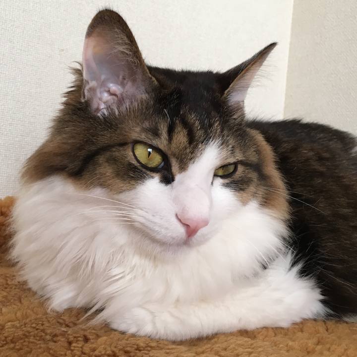 3bff5009 a533 4f15 a5c2 3649cf059fbb 1550106607091