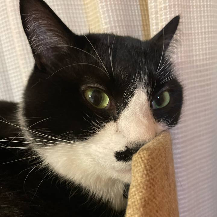 3bff870c 029c 4845 b159 d0af919bd607 1710469402227