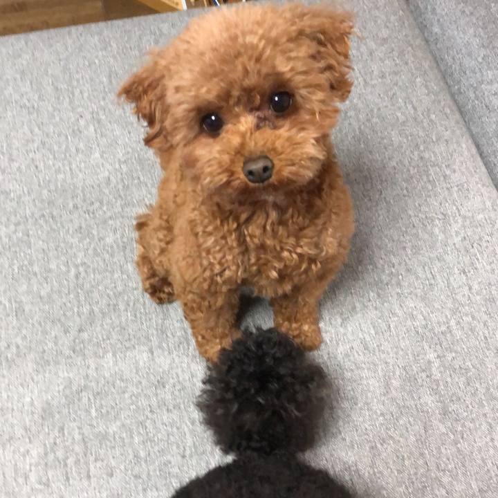 3bffa367 6c30 4f3d bcc5 90cbc1b67987 1588554795325