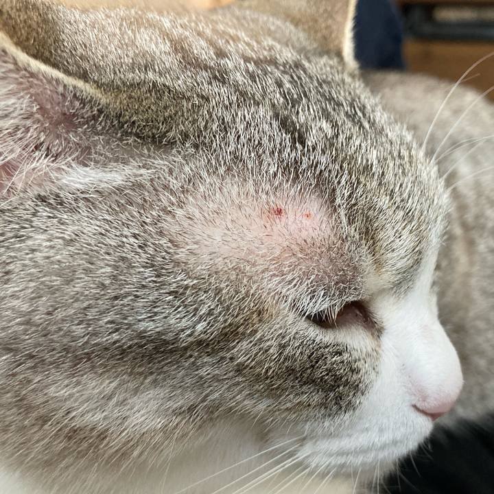 3bffbfe0 7e61 4b1c a2fb 97add2cebc7c 1656743990074