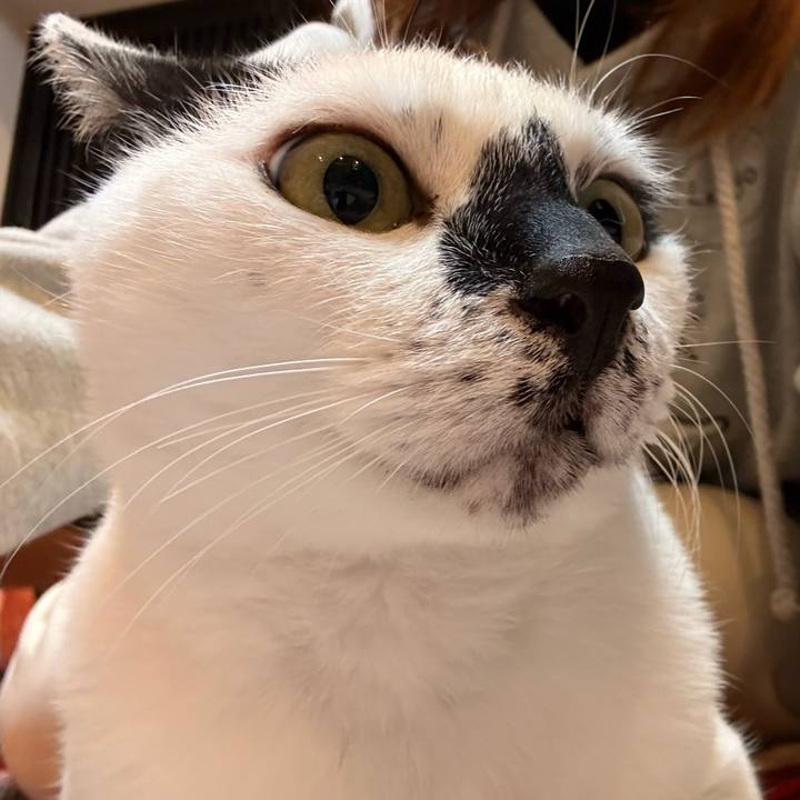 3bffdeef daad 4d25 8b2c 9962b24ffcf7 1770645786202