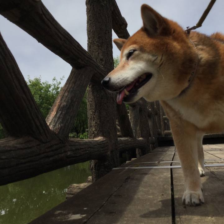 3bfff425 c94a 4060 b35f 67f5356e576d 1622203280616