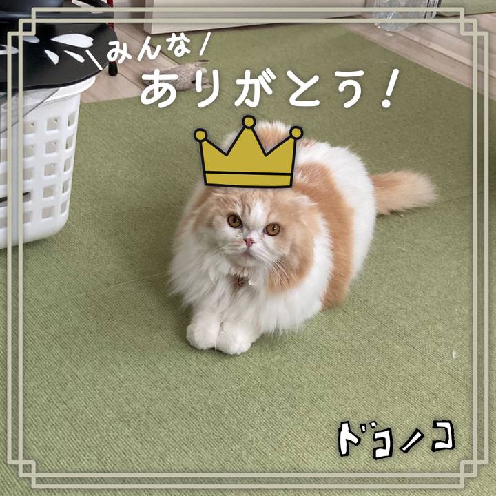 3bfffcd4 263e 4c7b b291 b98ceba0ff6a 1622852771661