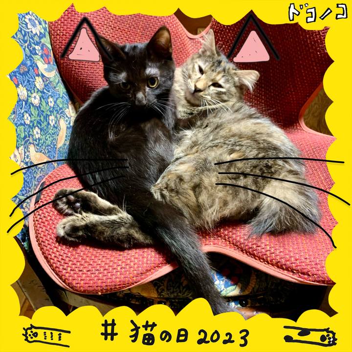 3c002a55 89f8 45e7 8754 cb73de4d4bb5 1677031661799