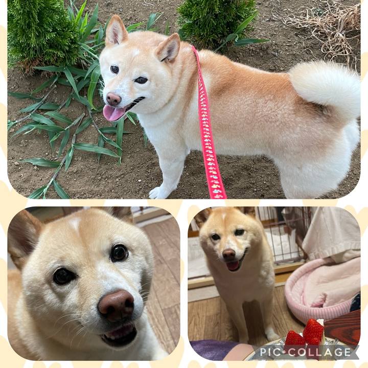 3c002d7c d5d2 4b0a 886c e116dc85e60a 1689939145660