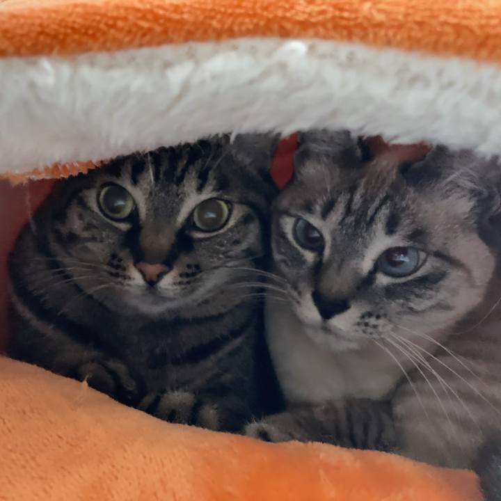 3c004856 b52c 4ed7 bf1c 1f6823fa4665 1609984278716