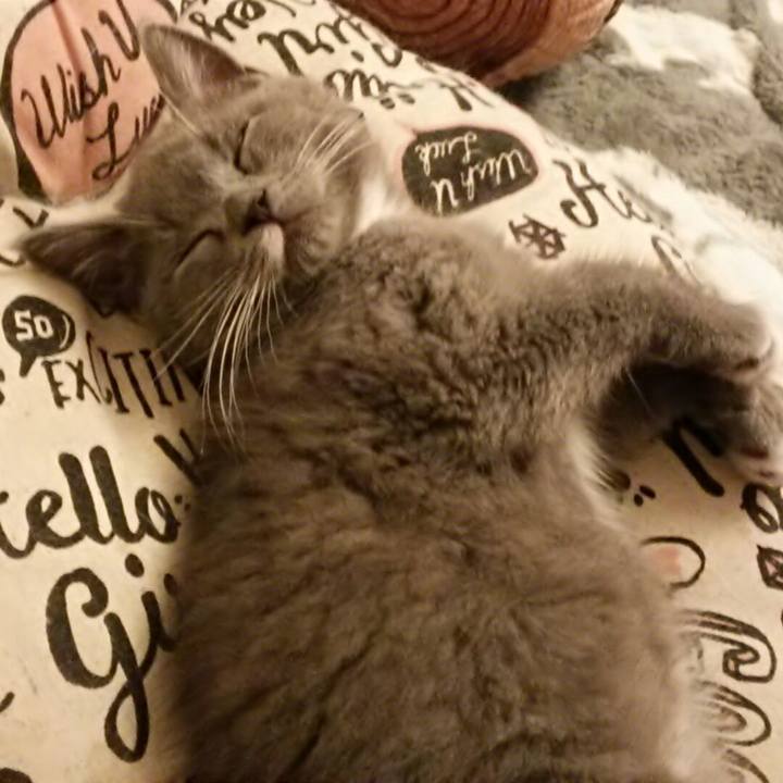 3c007acd e172 43ed a816 41920d548815 1530960372422