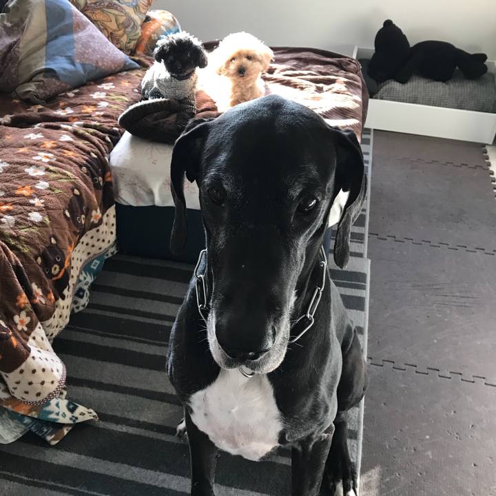 3c0080bc 2590 4c6f 96f8 f678a0b9466f 1520895153383