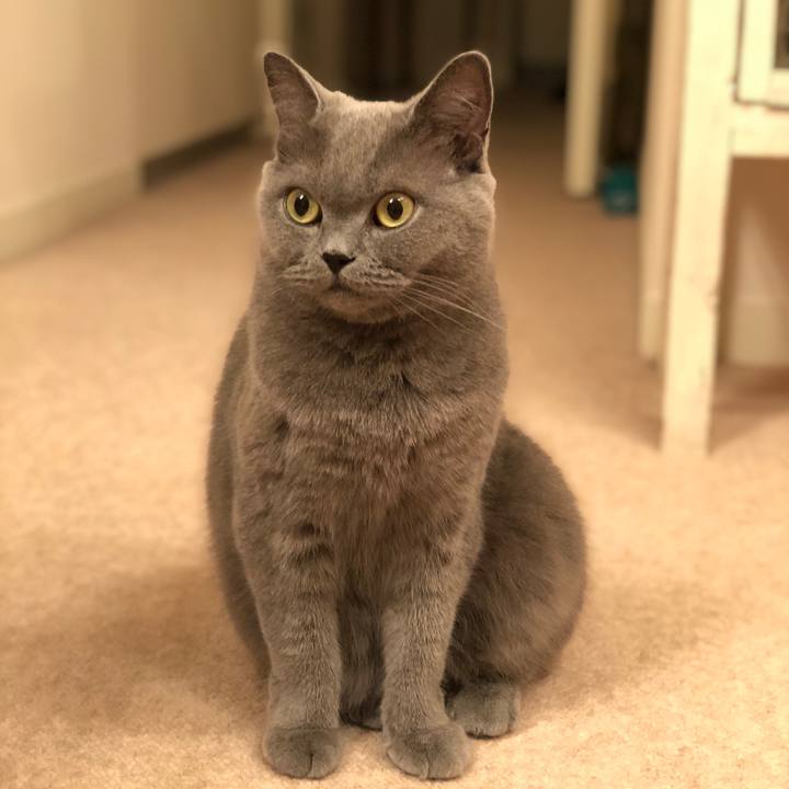 3c009fc8 6800 4353 bf4c d3d47fa7f0f9 1538826168632