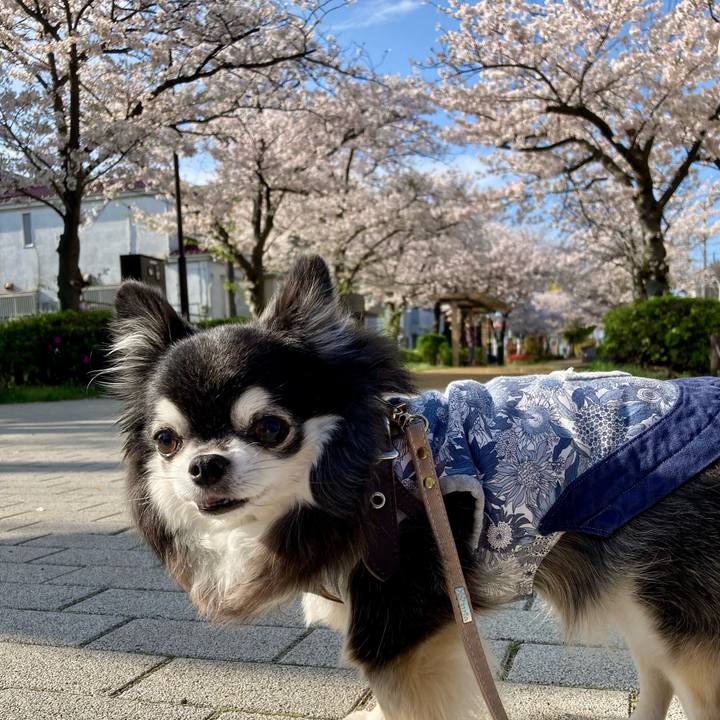 3c00ad63 39a0 4dbf 9f8e ef1880e73db6 1775436237016