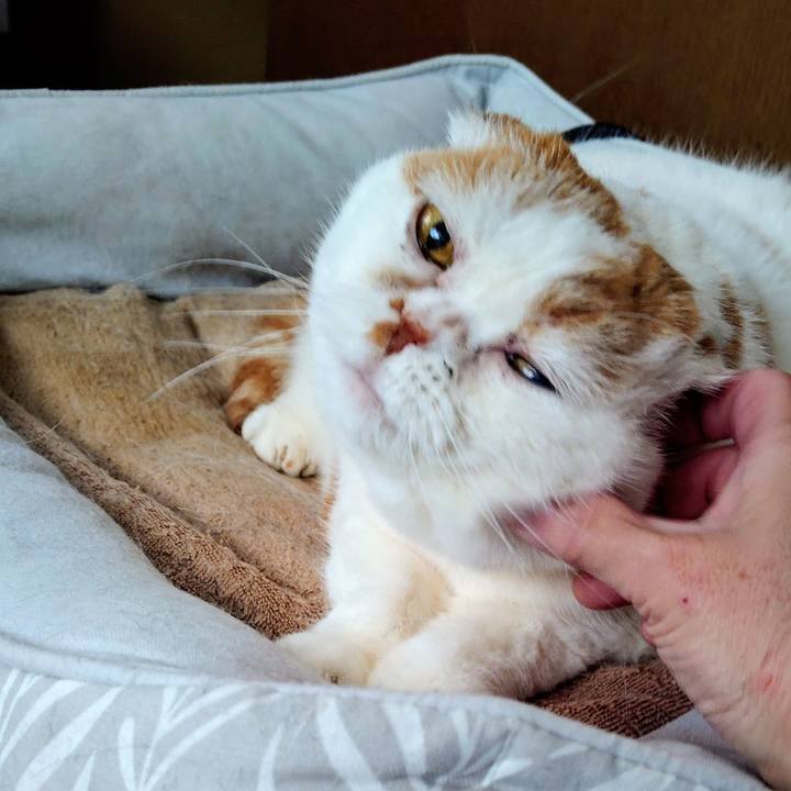 3c00b196 ebbe 4ba6 89a1 b576bf215d33 1772755393779