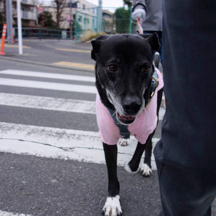 3c00c902 9818 49ad 8211 bf844e248240 1736640878792