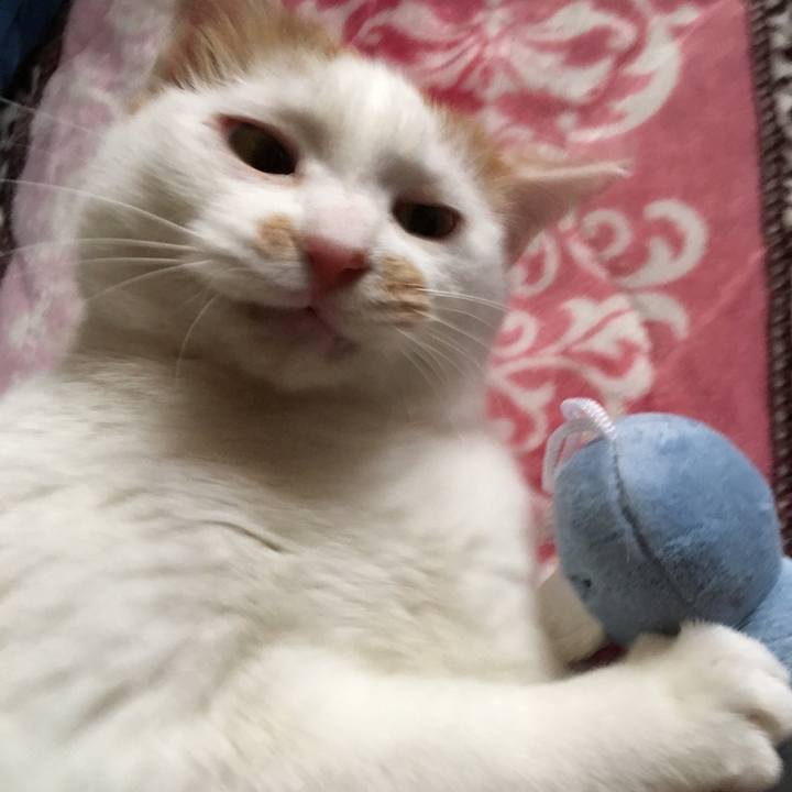 3c00cf90 5ccd 41f6 83be ab0b33dd0427 1550970450599