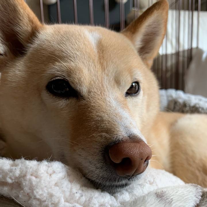 3c00dc67 7a08 4861 b4bc 1644df1500ce 1643431076984