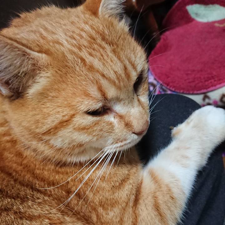 3c0150ba fa06 4689 ab5c 734c6c6e341f 1581894955203