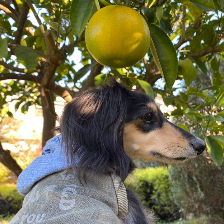 3c016c19 187b 40e9 ac36 a72ec9d6b339 1763820609314