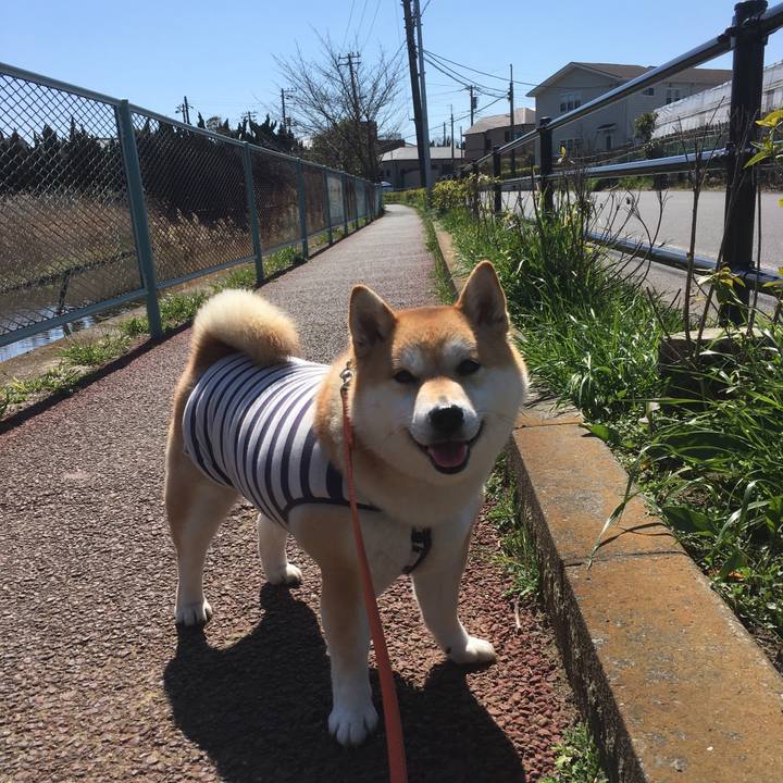 3c01d825 685c 448c 91e0 0e98fcc5a31b 1552880346217