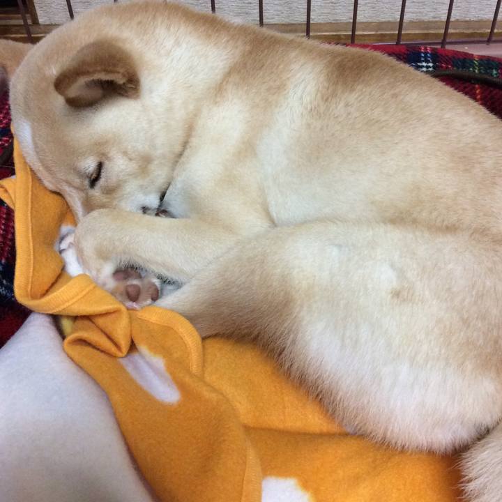 3c01eb0f 748f 4862 8774 db2c4874ecde 1508590664165