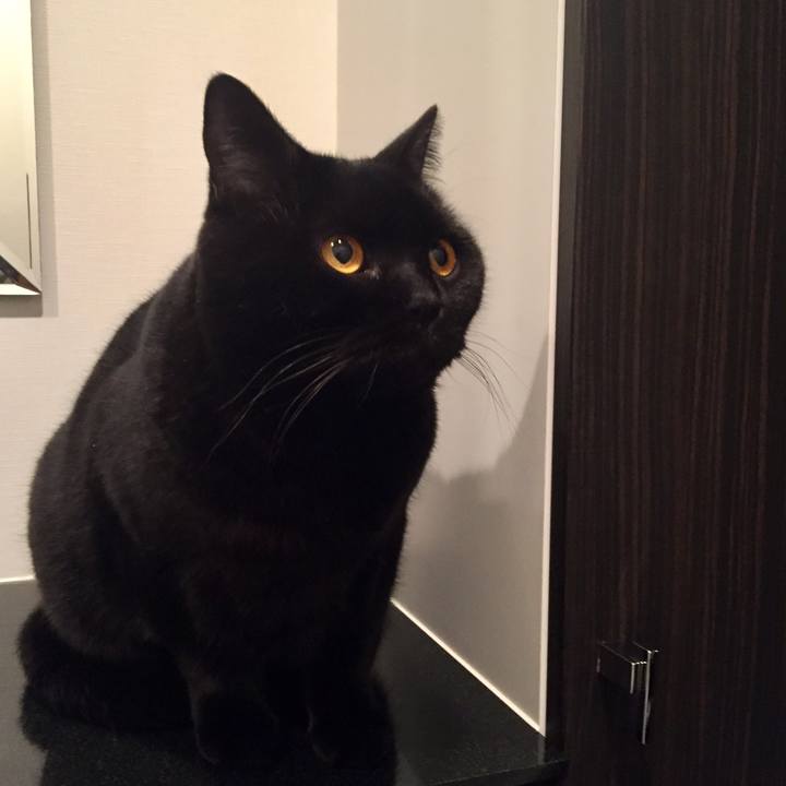 3c02024b 8f97 45b7 bbad 547ce9ccef57 1579096321549