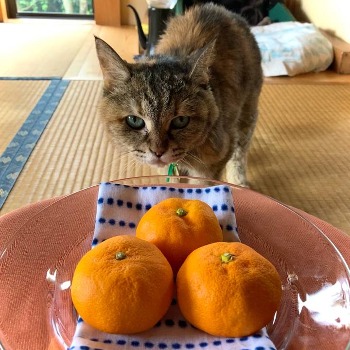 3c0227c8 e862 45de a283 38fc368f93cd 1630804947901