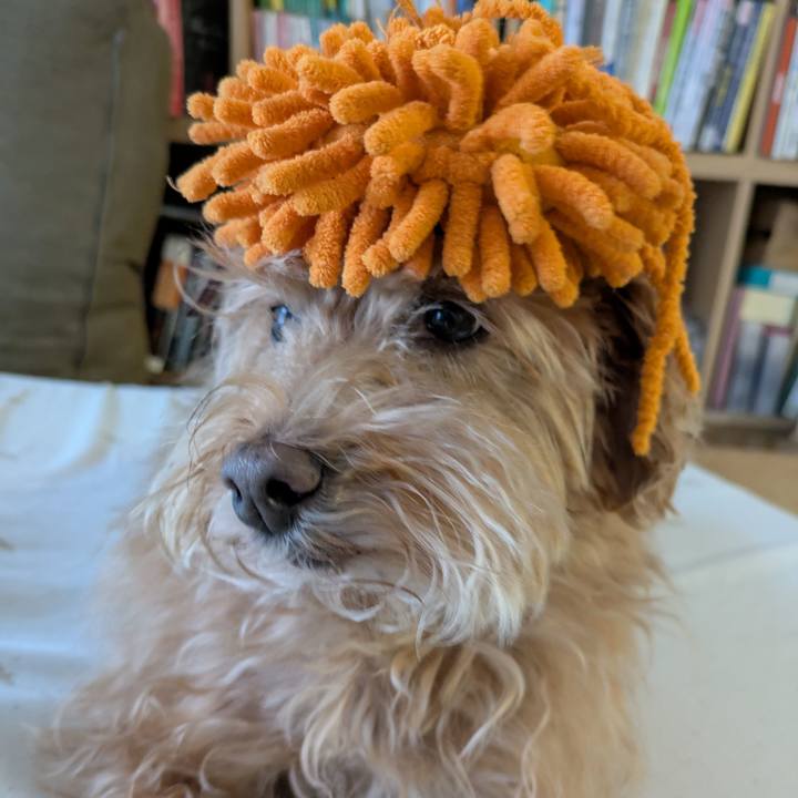 3c027af8 d042 4a80 9196 6e3385bfad48 1739830441760