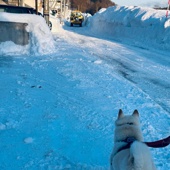 3c0293a8 da8e 404e 851e befeaf608639 1740435033287