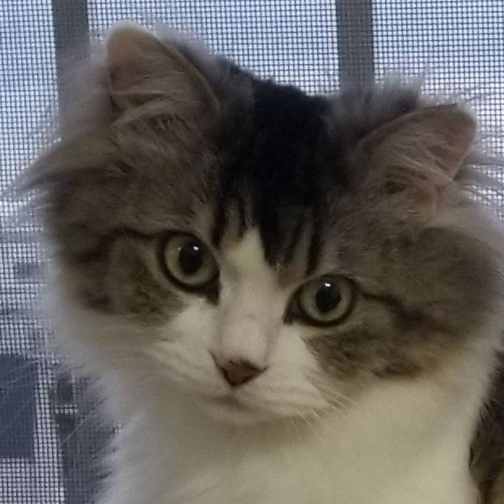 3c02957d 42f1 4709 a98e 33ad19c7ff10 1590845344094