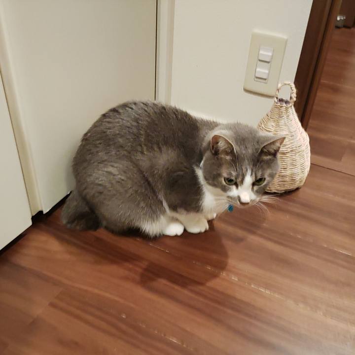 3c02b724 653d 4386 8f9a ef8fbeedac09 1669203384697