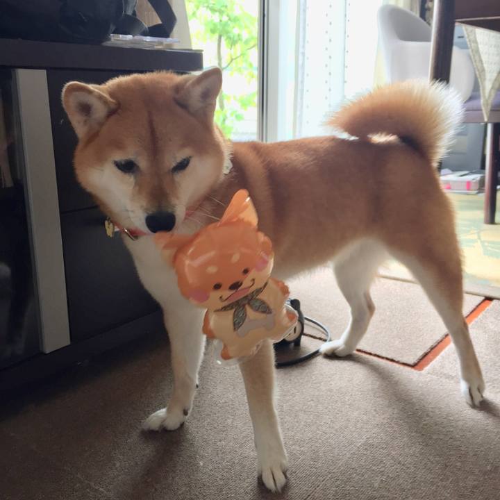 3c02c9a1 5ae6 4f86 ac91 fa17bdc774a5 1536543258966