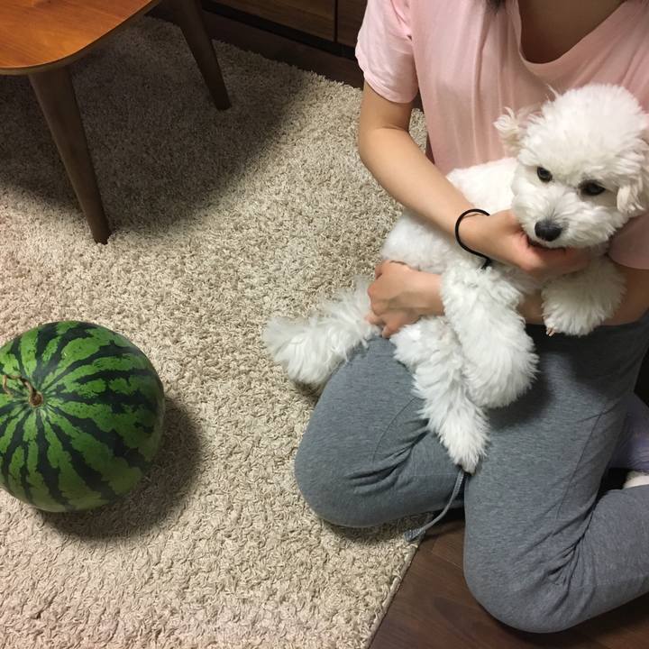 3c02cfa4 4f4f 4e66 9ae9 84d8dbd4658f 1527342094555