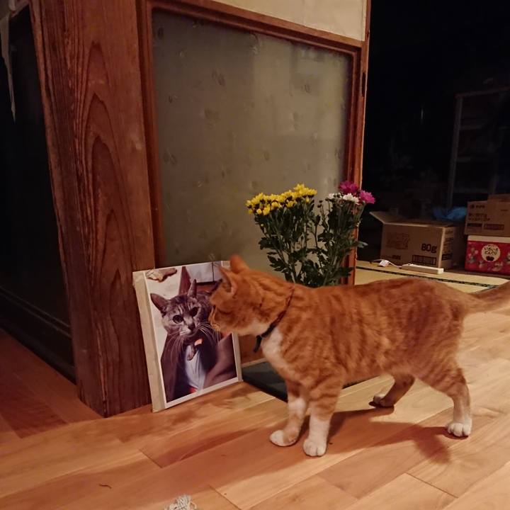 3c02e4fb 5c82 4646 82bb 0d0a486a087c 1602492673112