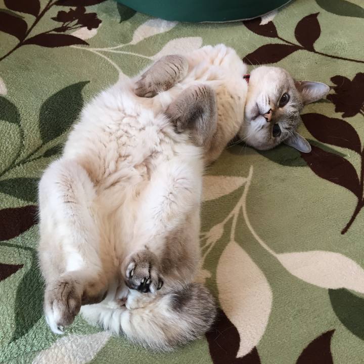 3c02f5e5 d4a8 4528 b8b5 8fd002e040c0 1588550667121