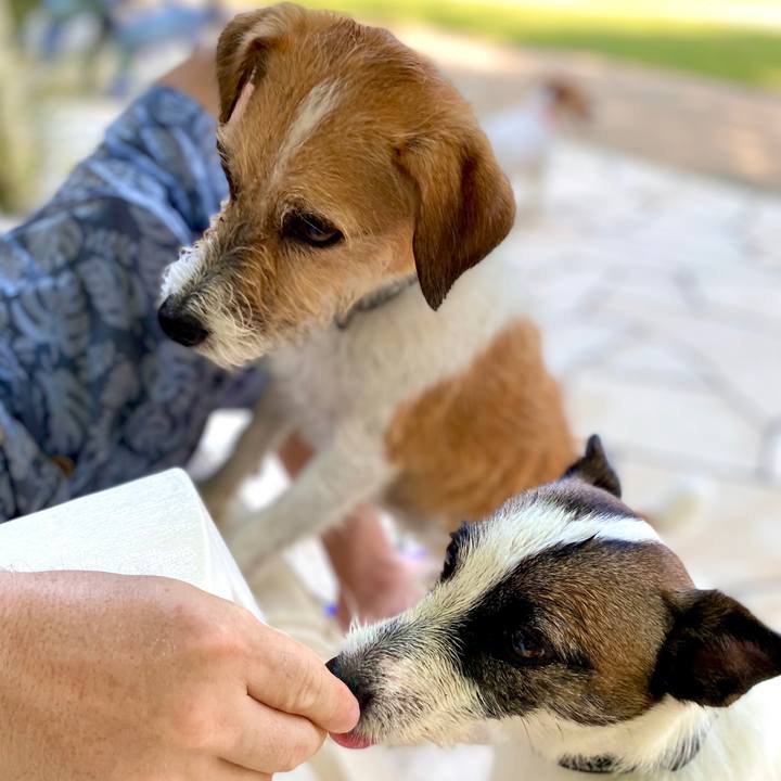 3c0316ed 683d 498b 9a6d e557a95adefe 1596782269035