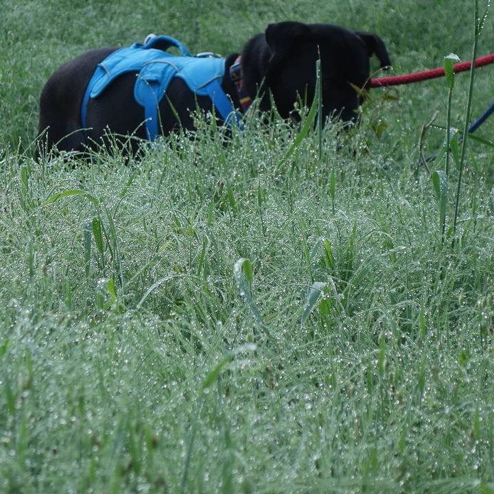 3c031989 e781 4b30 862f 93a70b3798d2 1619744884604