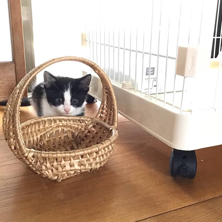 3c0338fa 6417 4ba4 a12d fd0acd545093 1623214551064