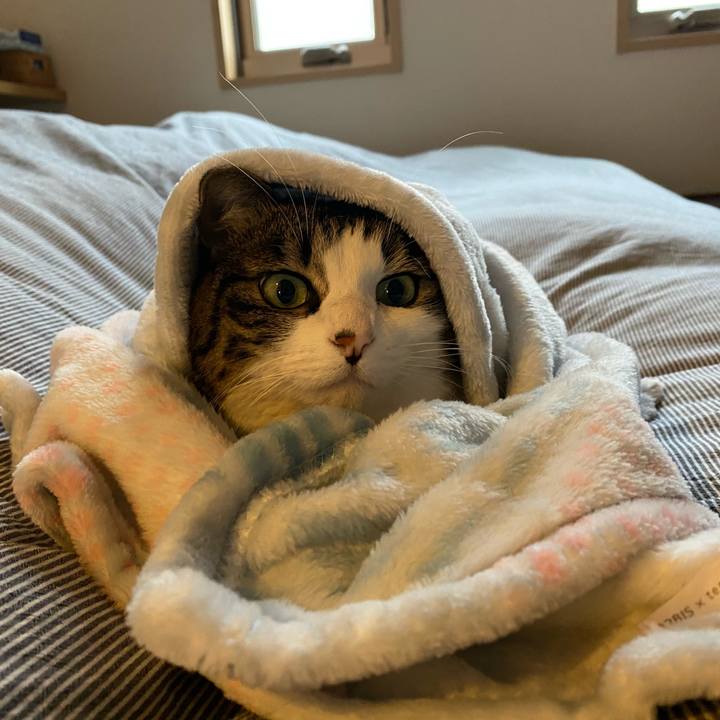 3c03422d 41a8 48e2 9a0d 33ad1c001edc 1607043212967