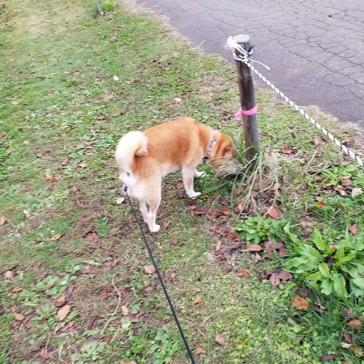 3c03645f 1c1e 42df b4ea 1a8402fb97b3 1667111894748