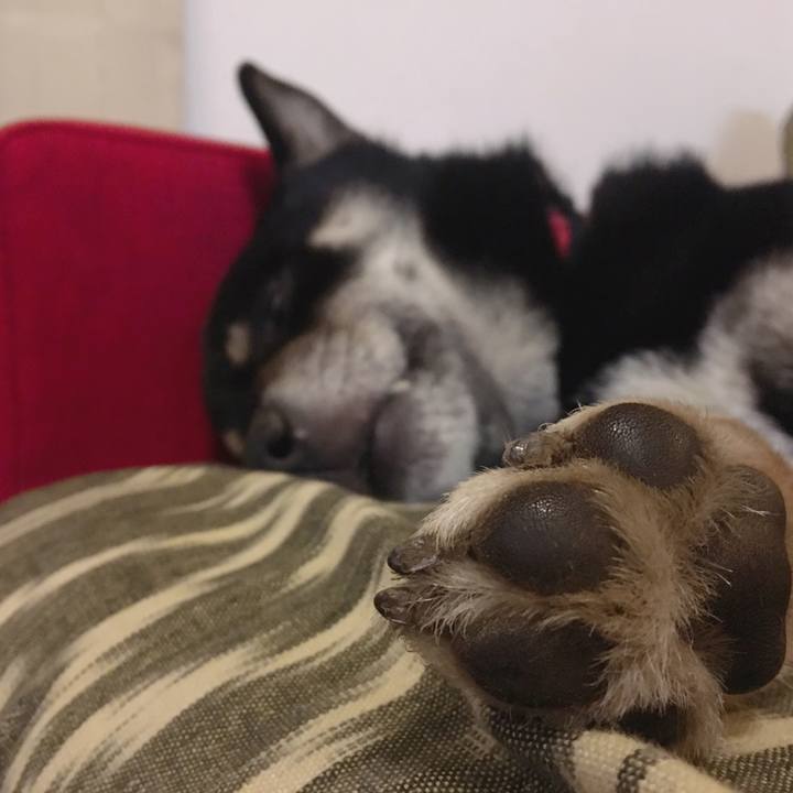 3c03884f 879c 4690 8428 5e81a0bbf8ee 1545926774418