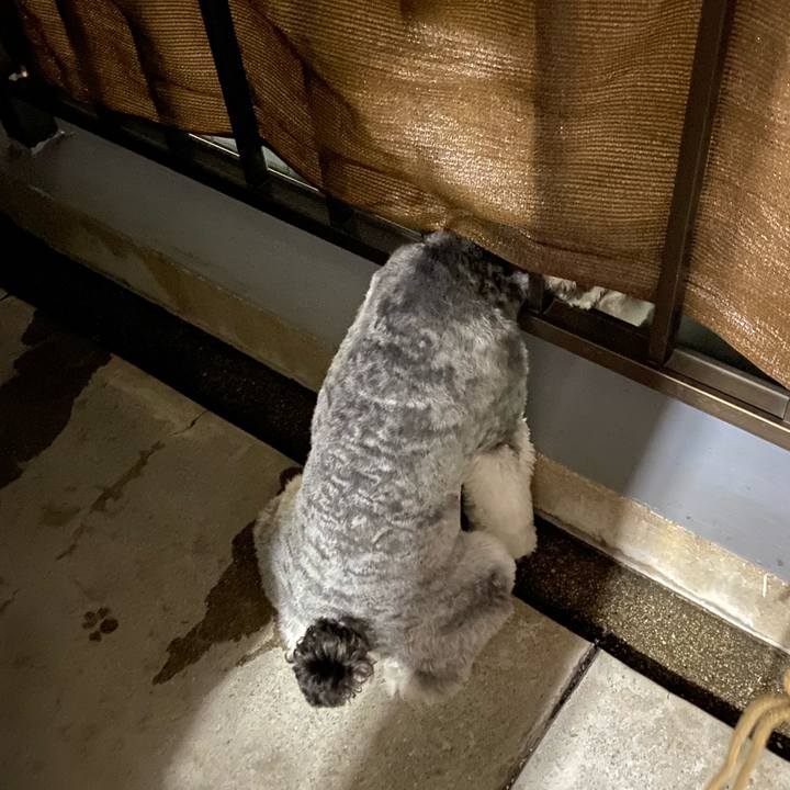 3c038949 1d79 47e1 b977 9e14f2fe29fc 1591009912810