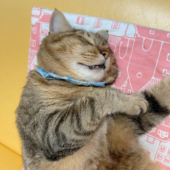 3c03a319 fa8e 4650 b1df 02aa9d359416 1628993296696