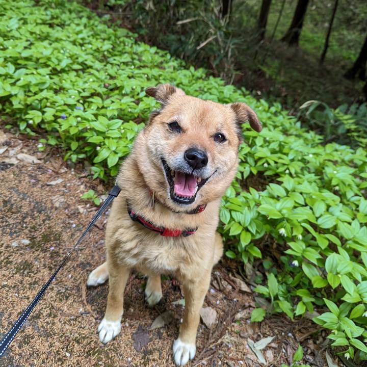 3c03ddd2 3d1b 4337 81ae 321780376f97 1683083303507