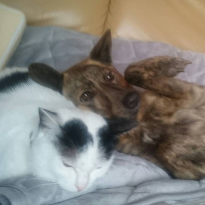 3c03ef35 0c94 46d6 9a57 9a45005e4948 1523091793934