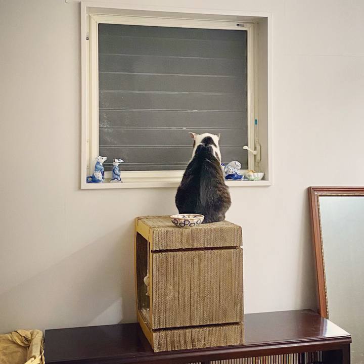 3c0414a7 5e12 4b52 a29a 3776d89f247d 1596807056739