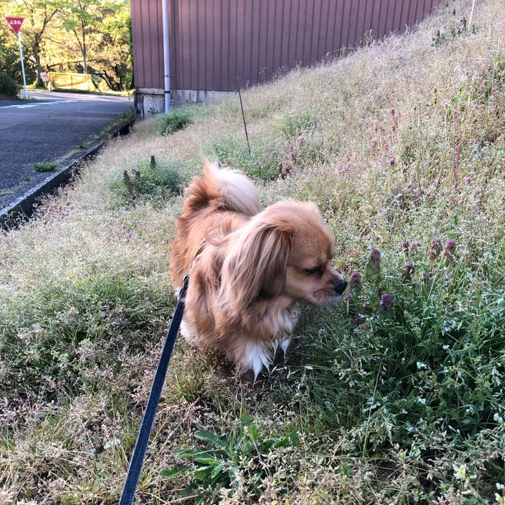 3c04414e 0989 4ddf 9823 801b650c25cd 1555709392524