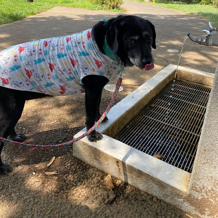 3c04492f bceb 4242 a548 c674acebb2ef 1660030644854