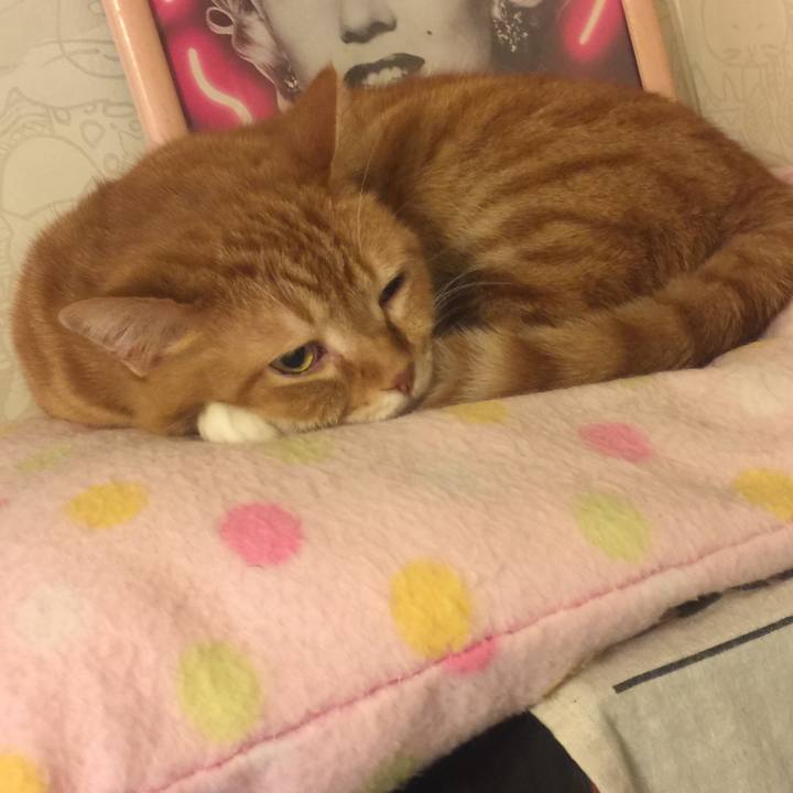 3c0453ce 4f71 41e7 bce3 fb2520b19e8f 1549638835517