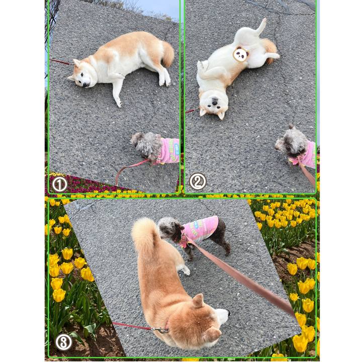 3c0490c9 1207 418b 841c c3aa43503964 1681380351833